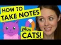 How to Take Notes!  Prepping for Finals Part 1