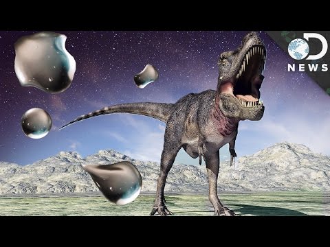 Did Dark Matter Kill The Dinosaurs?