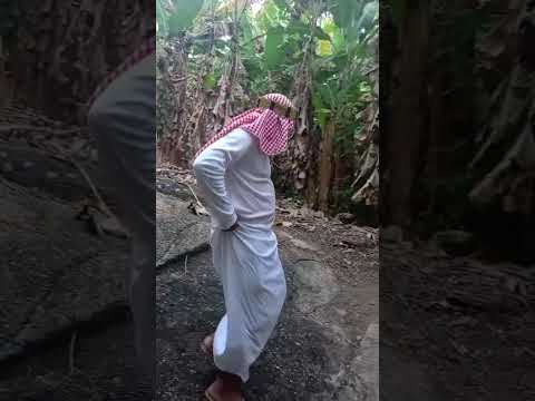 #sheik ostentando na retiro Uruburetama ceara #humor