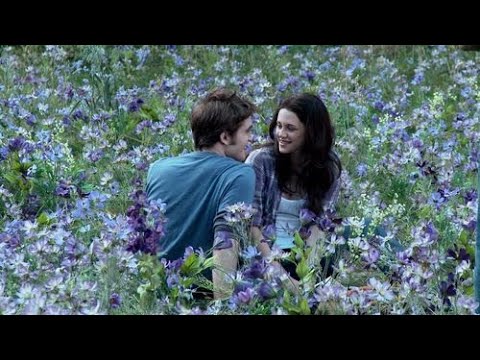 A Twilight Comfort Playlist