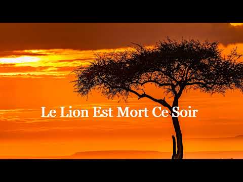 Le Lion est mort ce soir (Paroles) Pow Wow - 4K