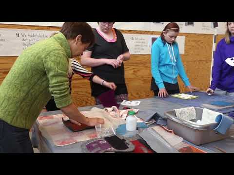 Skapande skola på schemat på Norra skolan