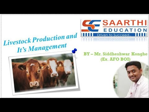 , title : 'Target IBPS AFO (Livestock Management)'