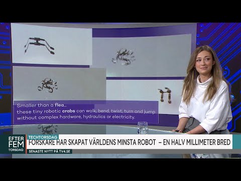 , title : 'Här är världens minsta robot: ”Mindre än en liten loppa” | Efter fem | TV4 & TV4 Play'