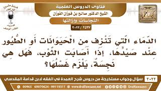 صورة [2537 -3022] الدماء التي تنزف من الحيوانات أو الطيور عند صيدها هل هي نجسة يلزم غسلها؟