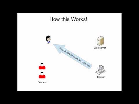 Bit Torrent Protocol