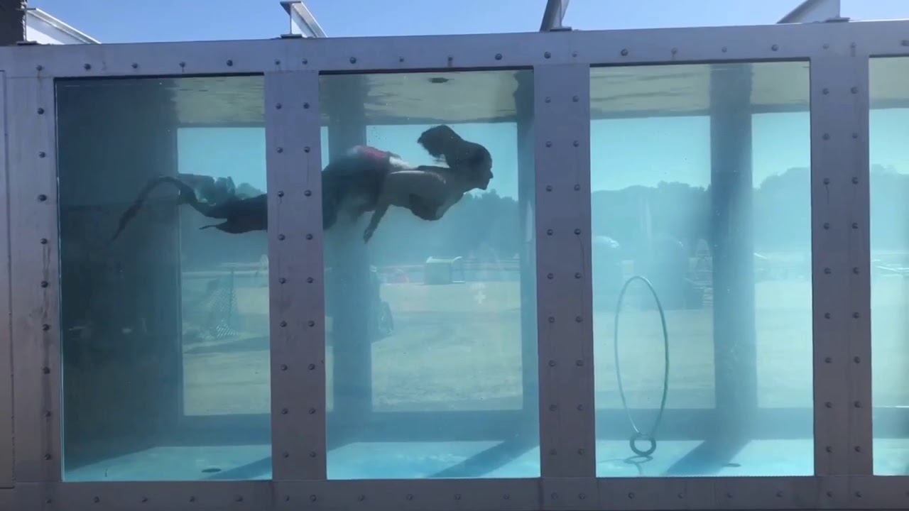 Promotional video thumbnail 2 for Mermaid Molly Entertainment