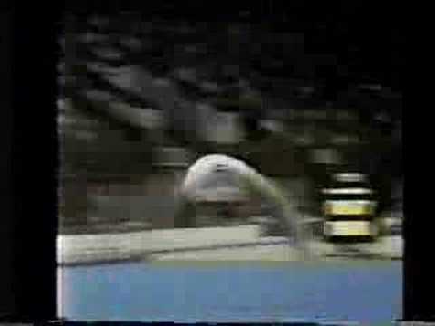 Cristina Grigoras - 1981 Champions All - Floor Exercise