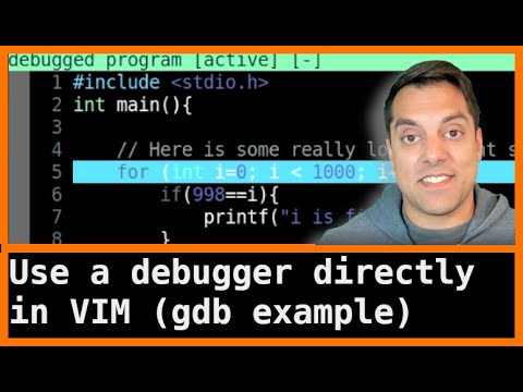 vim and gdb with built in debugger and termdbg
