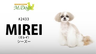 ペットモデル　MIREI(ミレイ)