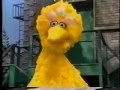 Sesame Street Big Bird S Games With Bob New HD