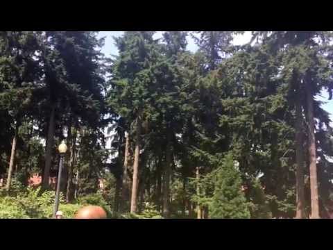 image-Is University of Puget Sound prestigious?