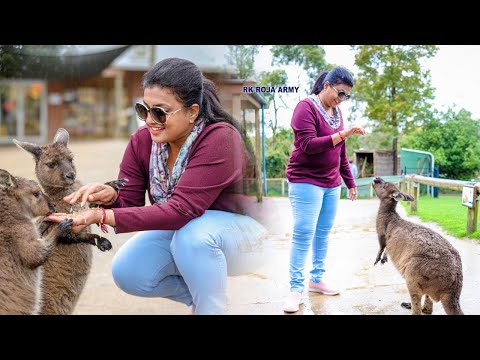 Roja playing with Kangarao in Australia Tour