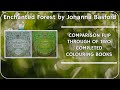 Comparison of Completed Enchanted Forest Colouring Books by Johanna Basford (adult coloring)