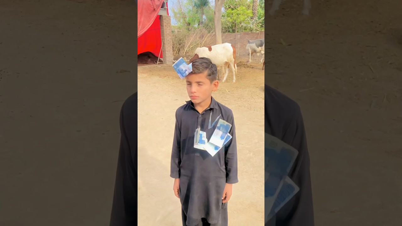 The Ultimate Truth About Money: Is It Really the Answer to Happiness?