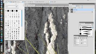 Working with the Clone Tool in Photoshop