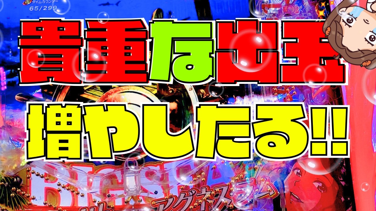 １万円勝負！貴重な出玉増やしたる！！大海物語5アグネス【PAわんわんパラダイスCELEBRATION実践】『あげ実1046海物語』#パーラーあげ実＃わんパラ