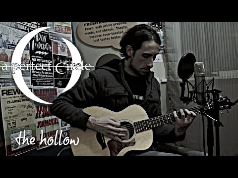 The Hollow (A Perfect Circle Acoustic Cover)