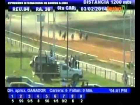 Resumen Lunes, 03 de Febrero de 2014 - Rancho Alegre