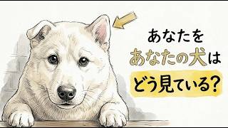 あなたの犬はあなたを人間だと思っていない ― その真実は衝撃的だ！