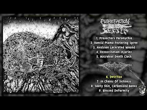 Putrefaction Sets In / FesterDecay - split 12" FULL ALBUM (2025 - Goregrind)
