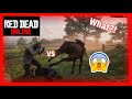 Brawling The Horse Body Guard In Red Dead Online