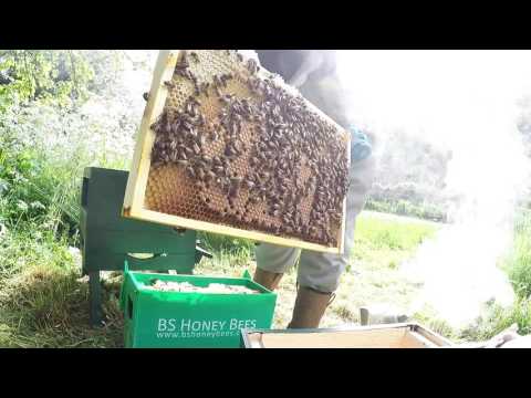 New UK Beekeeper Blog #1 - Transferring My First Ever Bees Into The Hive