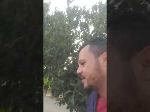 sol brilhante pra todos jaguarari Bahia Brasil dezembro 4 2025