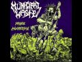 Municipal Waste- Shredded Offering