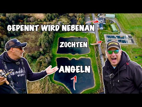 Wir sind sprachlos… 😱 Dieser Forellensee ist verrückt!