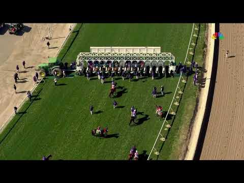 The 2025 1,000,000$ Breeders cup turf sprint