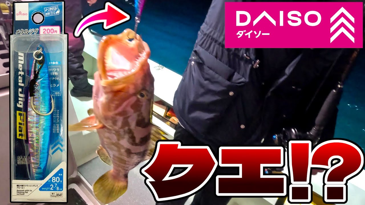 100均のダイソーメタルジグで時価６万の幻の超高級魚「クエ」釣れた神回