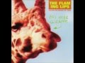 The Flaming Lips - This Here Giraffe