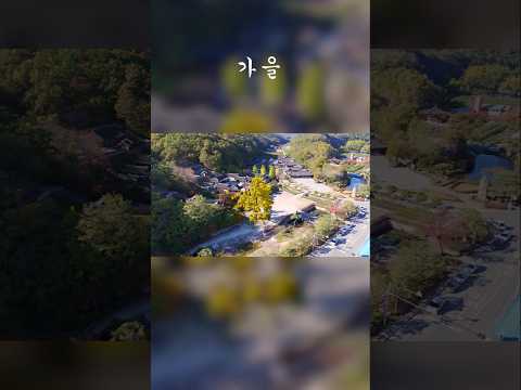 [영천사계] 영천의 대표 서원, 임고서원의 사계절