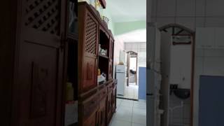 Pardo 030 (Big Elite x Vaidosa)