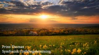 Prins Thomas - Symfonisk Utviklingshemming (Original Mix)