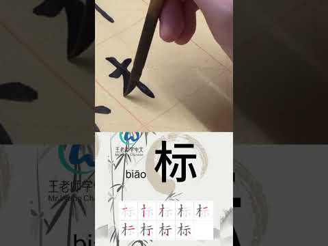 学习写汉字&ldquo;标/标准Standard&rdquo; Learn to write chinese characters