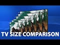 TV Size Comparison - 43 vs 50 vs 55 vs 65 vs 75 vs 85 Inch
