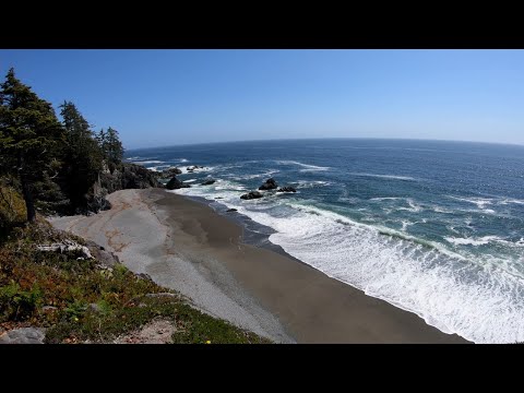 Hiking the West Coast Trail | 6-Day Backpacking Adventure on Vancouver Island, BC