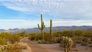 Exploring the Chasidic Jewish Community in Casa Grande, Arizona - New Homeowner's Tour