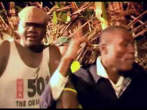 solid ground family bush party