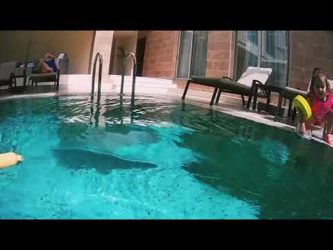 Rixos Premium Belek March 2018