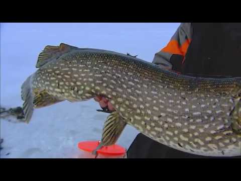 Tip-Up and Rigging Options for Pike
