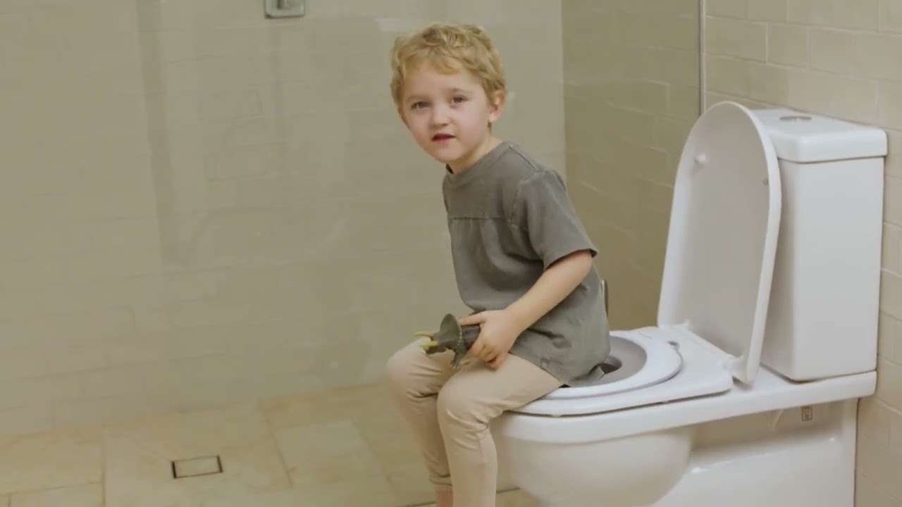 Potty Training Toilet: The Dreambaby EZY-Toilet Trainer Seat