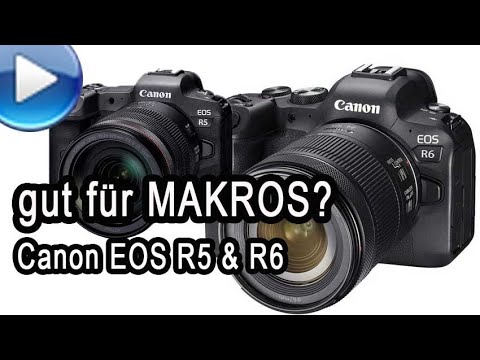 Canon EOS R5 / R6 - gut für Makros? wir stellen Überlegungen an!