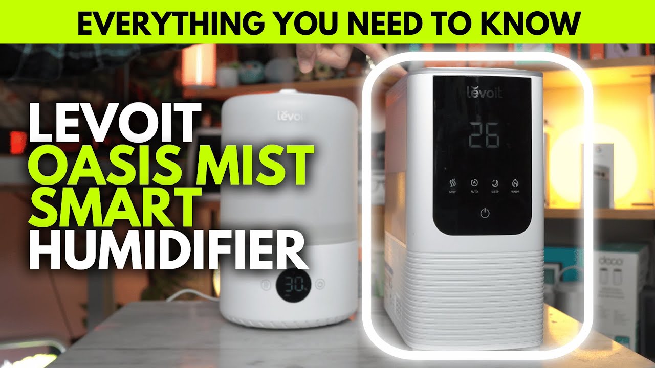 Levoit OASIS MIST Humidifier - Best Humidifier under $100?