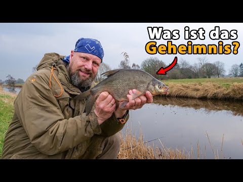 Matze Koch: Friedfischangeln im Frühjahr + Gewinnspiel | Spezial Boilies für preisbewusste Angler