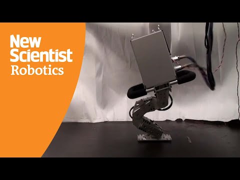 Watch a one-legged robot hop about as researchers try to knock it over