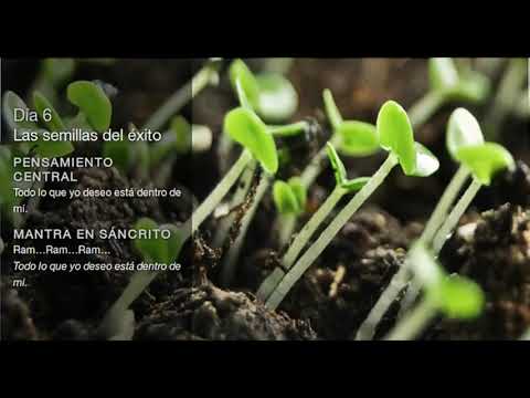 Deepak Chopra Día 6 Reto de Meditación Creando Abundancia
