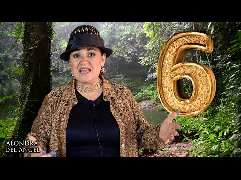 CONOCE EL SIGNIFICADO  Y MISIÓN DEL  (NÚMERO 6)  EL PODER DE LA NUMEROLOGÍA